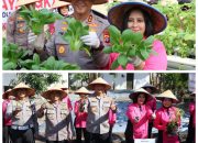 Dukung Ketahanan Pangan, Kapolda Kalteng Bersama Bhayangkari Panen Sayur di Lahan Pekarangan Pangan Lestari