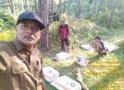Pahlawan Lingkungan KRPH Sidareja, Sugeng Suyanto, Berjuang Melawan Cuaca Ekstrem Demi Produksi Getah Pinus