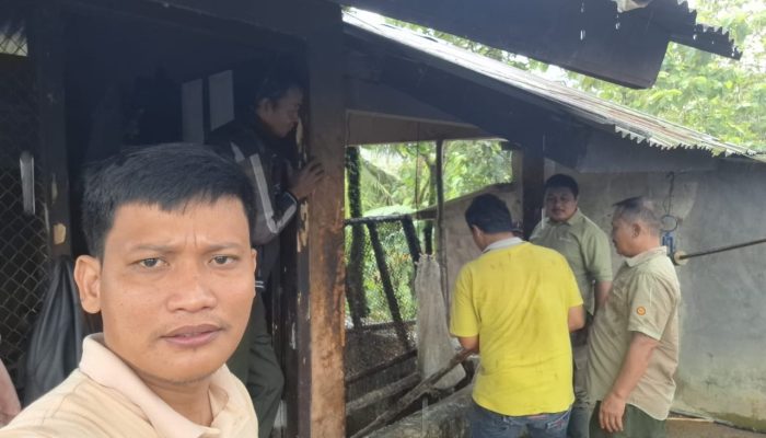 Asper BKPH Lumbir dan Kasi Keuangan KPH Banyumas Barat Cek Kualitas Getah di TPK Sempayak