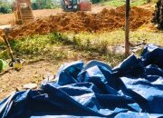 APH” TUTUP MATA” Maraknya peti di kecamatan muara Batang gadis( MBG)
