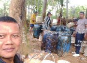 Penyisiran Getah Pinus di Petak 21 KRPH Banteran Tingkatkan Produksi