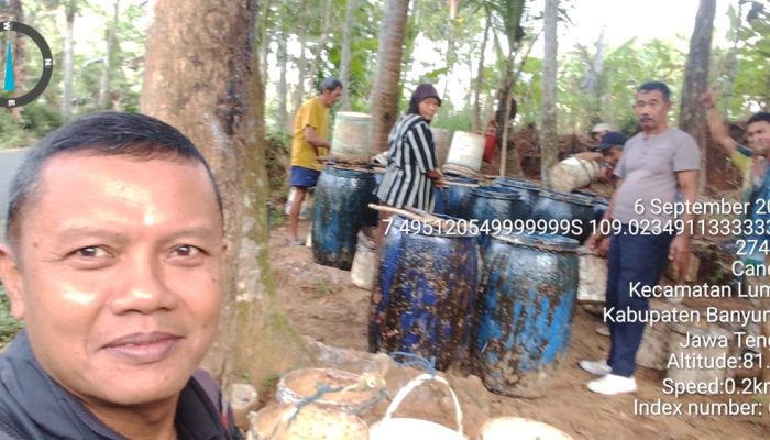 Penyisiran Getah Pinus di Petak 21 KRPH Banteran Tingkatkan Produksi