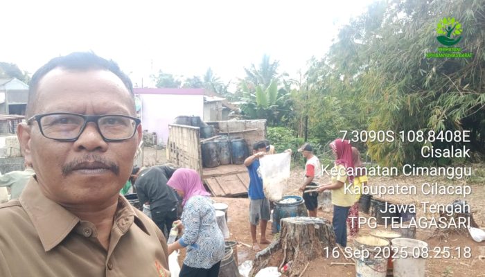 Perhutani KPH Banyumas Barat Kejar Target Produksi Getah Pinus di BKPH Majenang