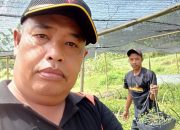 Persiapan Musim Tanam, KPH Banyumas Barat Siapkan Bibit Unggul