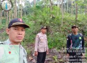 Patroli Rutin Perhutani KPH Banyumas Barat Diperketat, Fokus Pengamanan Hutan Jati