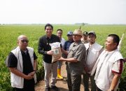Kurangi Ketergantungan pada Pupuk Kimia, Bupati Lucky Hakim Imbau Petani Gunakan Pupuk Organik