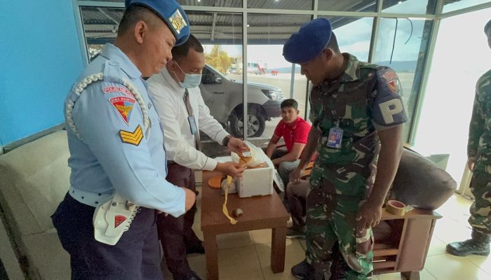 Personel Lanud Sultan Iskandar Muda Bersama Avsec Gagalkan Penyelundupan Narkoba Di Bandara SIM