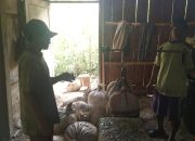 KPH Banyumas Barat Perketat Pengawalan Produksi Getah Pinus, Waka Administratur Pastikan Pasokan ke Bu PGT Cimanggu Aman