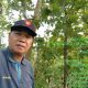 Perkuat Aset Negara, Wakil Administratur KPH Banyumas Barat Tekankan Peningkatan Pengamanan Hutan yang Preventif dan Humanis