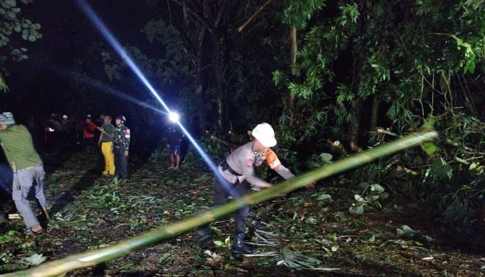 Reaksi Cepat Tim SAR Brimob Jabar Evakuasi Pohon Tumbang di Sumedang