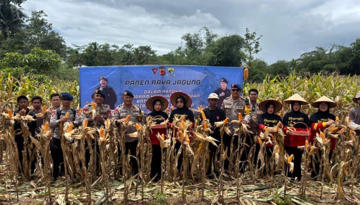 Brimob Jabar & Kelompok Tani Duha Gelar Panen Raya Jagung di Tasikmalaya