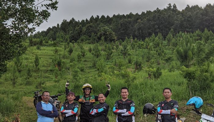 Administratur KPH Banyumas Barat Kawal Ketat Program Tanaman 2025/2026, Target Sukses 100% Demi Produksi Getah Pinus