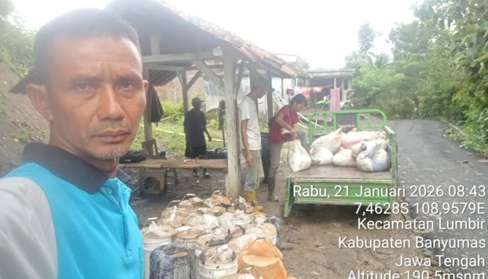 Kejar Target Produksi, KPH Banyumas Barat Terapkan Strategi Jemput Bola Getah Pinus