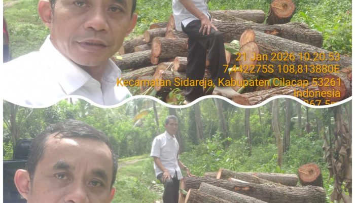 Optimalkan Target Produksi 2026, KPH Banyumas Barat Gelar Kating Test di Petak 11 Sidareja