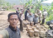 Kejar Target Februari, Administratur KPH Banyumas Barat Pantau Langsung Sadapan Getah Pinus di Wanareja