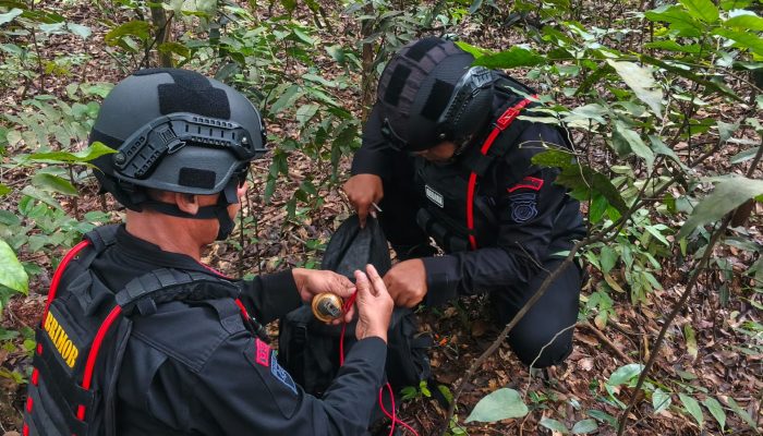 Personel Jibom Detasemen Gegana Sat brimob Polda Jabar Penanganan Temuan Granat Tangan di Karawang