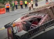 Truk Pengangkut Sapi Rem Blong di Nagreg, Pemudik Tewas