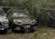 Hujan Angin di Pangalengan, Pohon Tumbang Timpa Kendaraan dan Tutup Akses Jalan