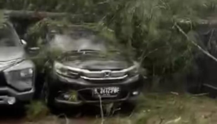 Hujan Angin di Pangalengan, Pohon Tumbang Timpa Kendaraan dan Tutup Akses Jalan