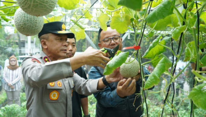 Kapolda Jabar Tinjau Green House, Pastikan Suplai ke Dapur MBG Lancar