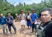 Pimpin Patroli Gabungan, Administratur KPH Banyumas Barat Pastikan Keamanan Hutan dan Optimalisasi Sadapan