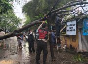 Polisi dan Warga Evakuasi Pohon Tumbang Pasca Hujan di Bojongloa Kidul