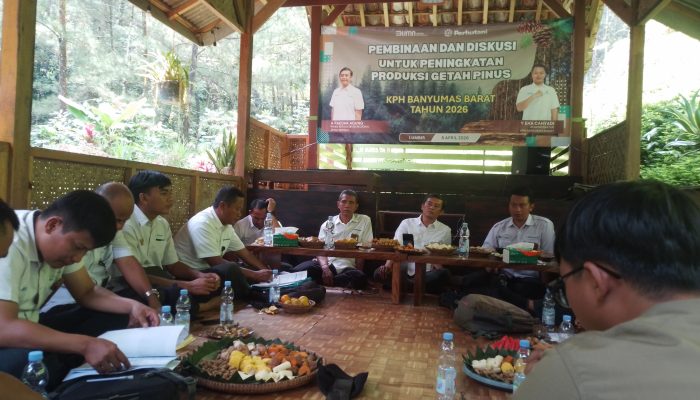 Akselerasi Produksi Getah Pinus, Wakadivre Perhutani Jateng Tinjau Kinerja KPH Banyumas Barat