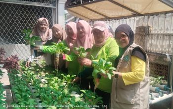Wujudkan Ketahanan Pangan Mandiri, PKK RW 007 CBS Sukses Panen Sayuran Hidroponik