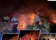 Quick Respons Brimob Kaltara Tanggulangi Kebakaran Lahan di Sebatik, Api Cepat Dikendalikan