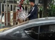 Niat Cari Untung, Pria di Antapani Bandung Ditangkap Polisi Usai Edarkan Obat Terlarang