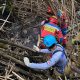 Evakuasi Jenazah Perempuan di Ledeng Bandung Terkendala Medan Curam