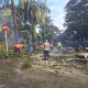 Respons Cepat Pohon Tumbang, Polsek Pondok Aren Pastikan Akses Jalan Raya Kebayoran Kembali Normal