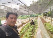 Antisipasi Tanam Tahun 2027, Perhutani KPH Kebonharjo Seleksi Ketat Bibit di Persemaian BKPH Tawaran