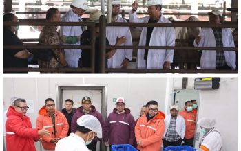 Polda Metro Jaya Cek Hewan Kurban di Dharma Jaya Jelang Idul Adha