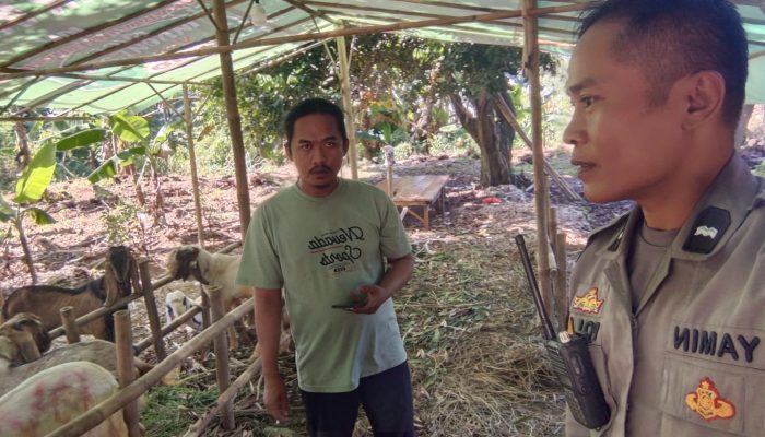 Jelang Idul Adha, Bhabinkamtibmas Parigi Lama Sambangi Lapak Hewan Kurban dan Berikan Imbauan Kamtibmas