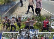 Quick Response Kebakaran Lahan di Bulungan, Brimob dan Samapta Kaltara Berhasil Padamkan Api