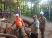 Sambut Audit PHL 2026, Manajemen Perhutani KPH Banyumas Barat Tinjau Langsung SOP Produksi Kayu di Lapangan