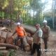 Sambut Audit PHL 2026, Manajemen Perhutani KPH Banyumas Barat Tinjau Langsung SOP Produksi Kayu di Lapangan