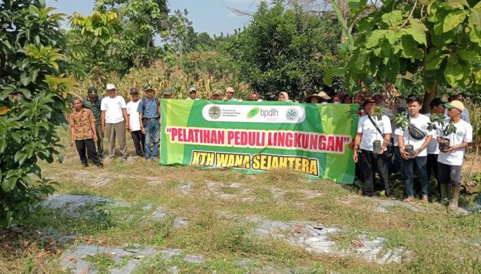 Perhutani Kebonharjo Bersama KTH Wana Sejahtera Tanam 100 Bibit Buah di BKPH Gayam untuk Ekonomi dan Kelestarian Alam