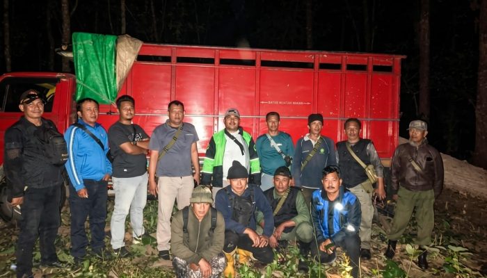Antisipasi Illegal Logging, Tim Gabungan Sukses Amankan Kawasan Hutan KPH Kebonharjo