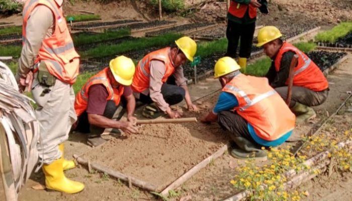 Sop Jadi Kunci, Perhutani KPH Banyumas Barat Kawal Audit PHL Bidang Tanaman di BKPH Lumbir