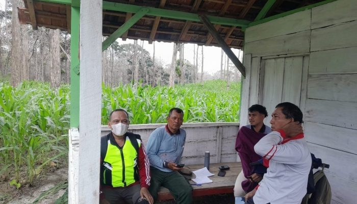 Perhutani KPH Kebonharjo Tingkatkan Pengawasan Wilayah Lewat Patroli Gabungan dan Sinergi Masyarakat