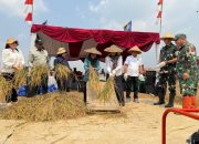 Akselerasi Swasembada Pangan, Kodim 0621/Kabupaten Bogor Gelar Panen Raya di Klapanunggal