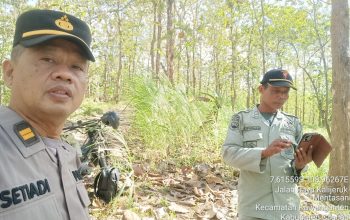 Antisipasi Kemarau Panjang, Perhutani KPH Banyumas Barat Intensifkan Patroli Gukamhut dan Karhutla