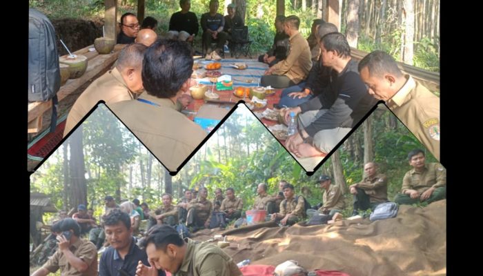 Tingkatkan Produktivitas Getah Pinus, Direktur Operasi Perhutani Tinjau Langsung Lapangan di KPH Banyumas Barat