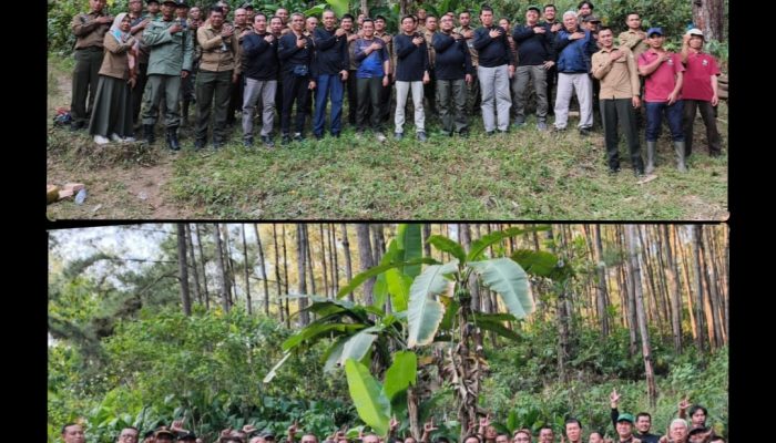 Sukses Gelar Hiking dan Camping Produksi Sadapan, KPH Banyumas Barat Siap Tingkatkan Produktivitas