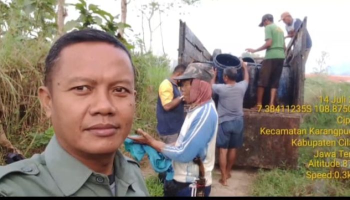 Manfaatkan Musim Kemarau, Perhutani KPH Banyumas Barat Pacu Produksi Getah Pinus di BKPH Majenang
