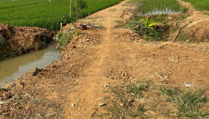Perjuangan Petani Kunci Utama Ketahanan Pangan Nasional