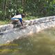 Tanggapan Pelaksana Lapangan Terkait Pekerjaan Lining Saluran BBWS Citanduy di Desa Bumireja