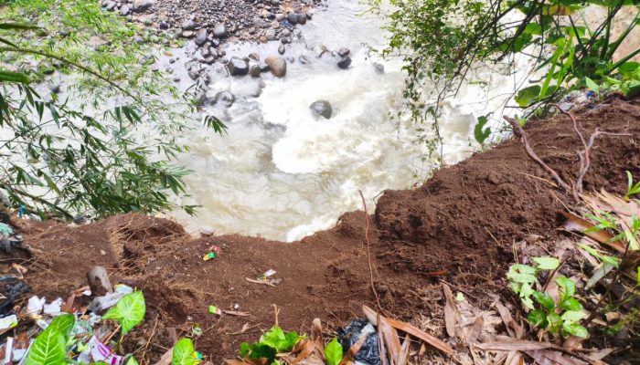 Ancaman Abrasi Sungai Cipaingan Makin Kritis: Warga Mekarsari Kian Terancam, Desak BBWS Citanduy Lakukan Penanganan Darurat